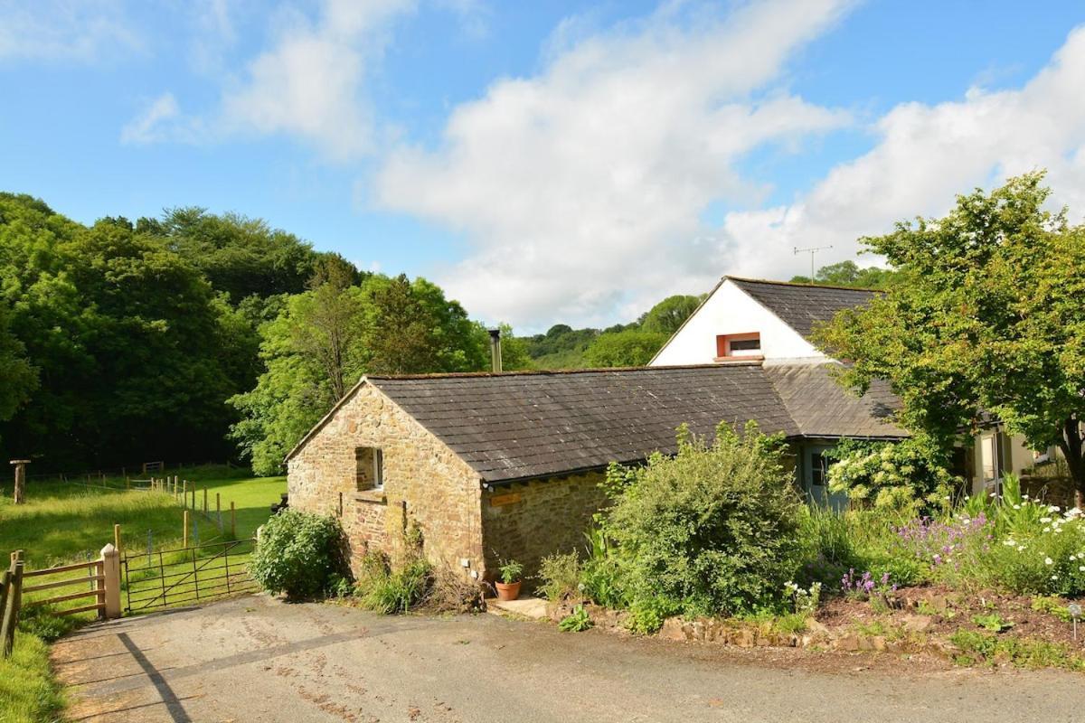 Dandelion Cottage, Amroth Exterior photo